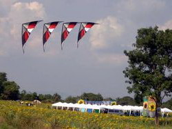 Thailand International Kite Festival