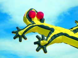 Thailand International Kite Festival