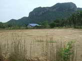 Hua Hin Land