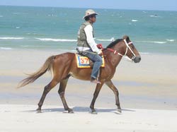 Horse riding Hua Hin beach